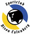 Logo SC Bison Calenberg